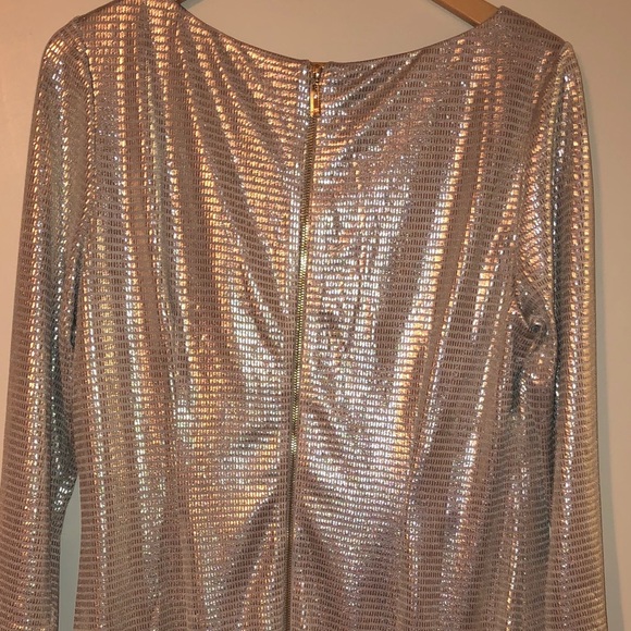 Silver Metallic Dress - Picture 4 of 6
